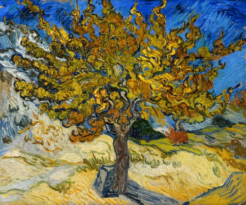 Van Gogh's The Mulberry Tree