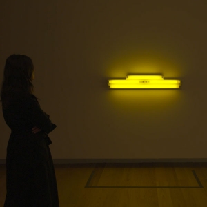 Virtual Tour: Dan Flavin’s "monument" on the survival of Mrs. Reppin and Untitled